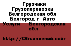 Грузчики Грузоперевозки - Белгородская обл., Белгород г. Авто » Услуги   . Белгородская обл.